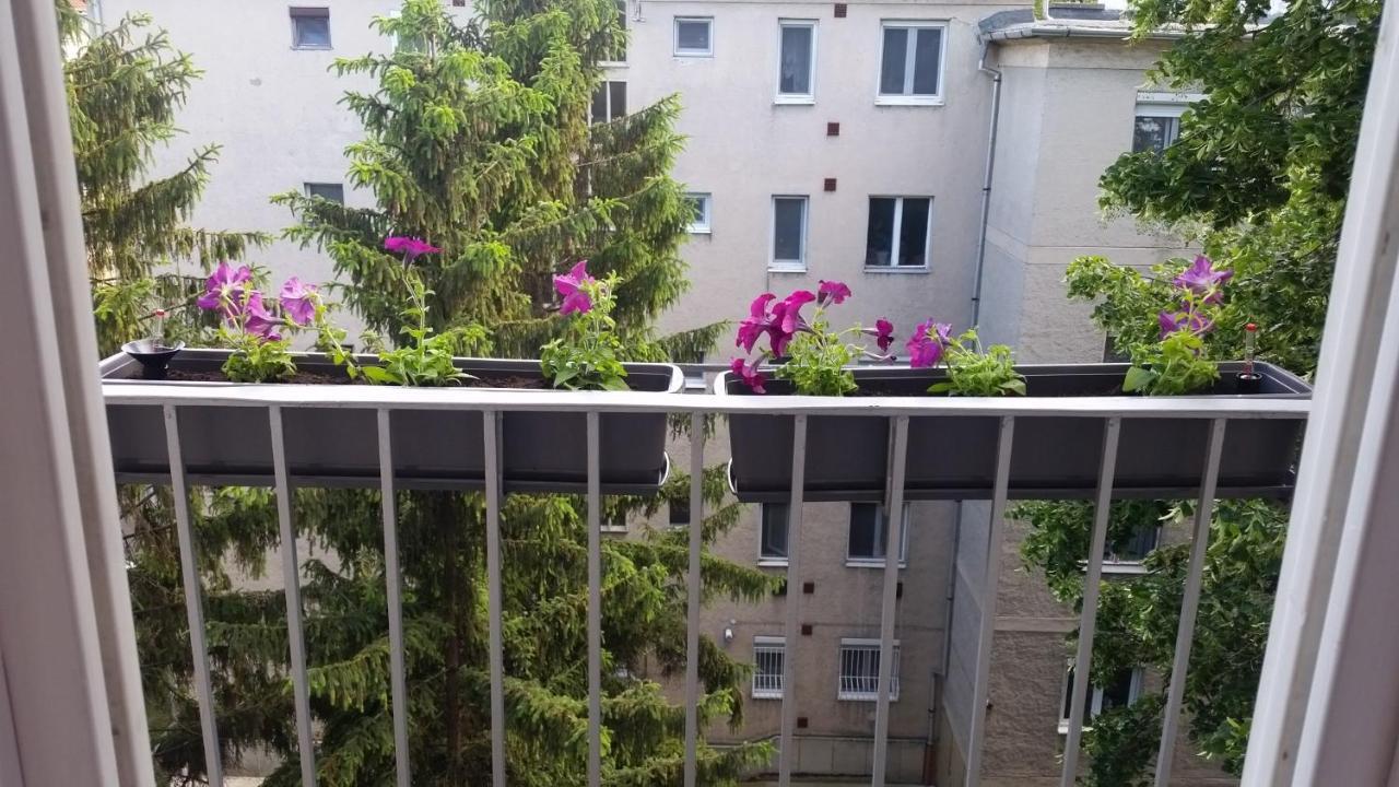 Tisza-Parti Napfeny Apartman Seghedin Exterior foto